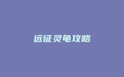 远征灵龟攻略