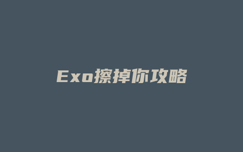 Exo擦掉你攻略