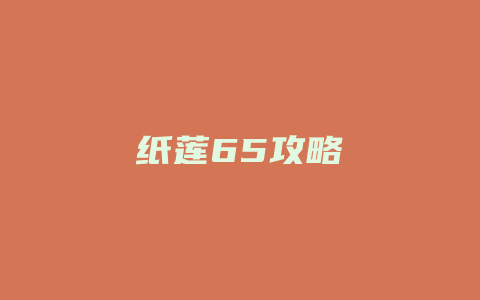 纸莲65攻略