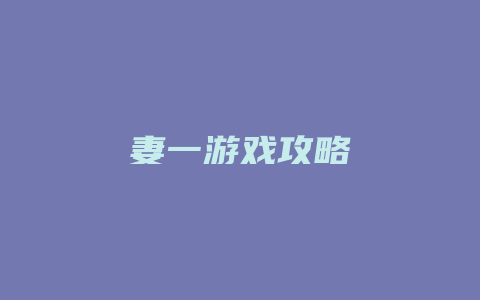 妻一游戏攻略