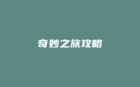 奇妙之旅攻略