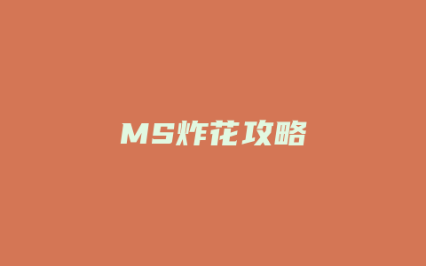 MS炸花攻略