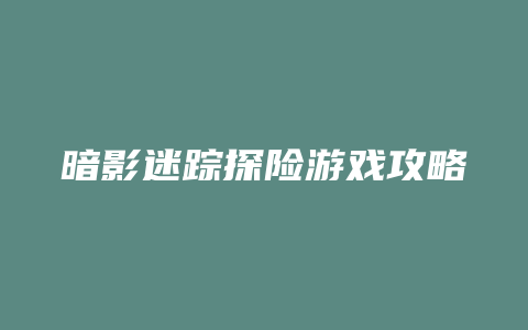 暗影迷踪探险游戏攻略