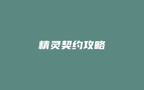 精灵契约攻略