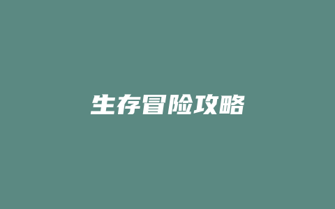 生存冒险攻略