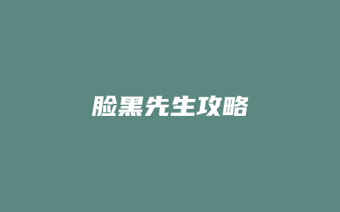 脸黑先生攻略