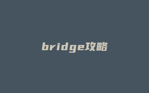 bridge攻略